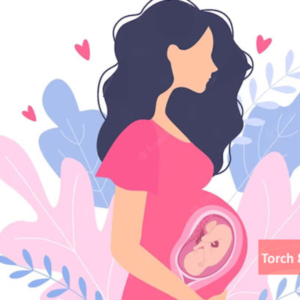 Torch 8 Profile : Toxo IgG/IgM/,Rubella IgG/IgM,CMVIgG/ IgM,HSV I &II IgG,HSV I & II IGM