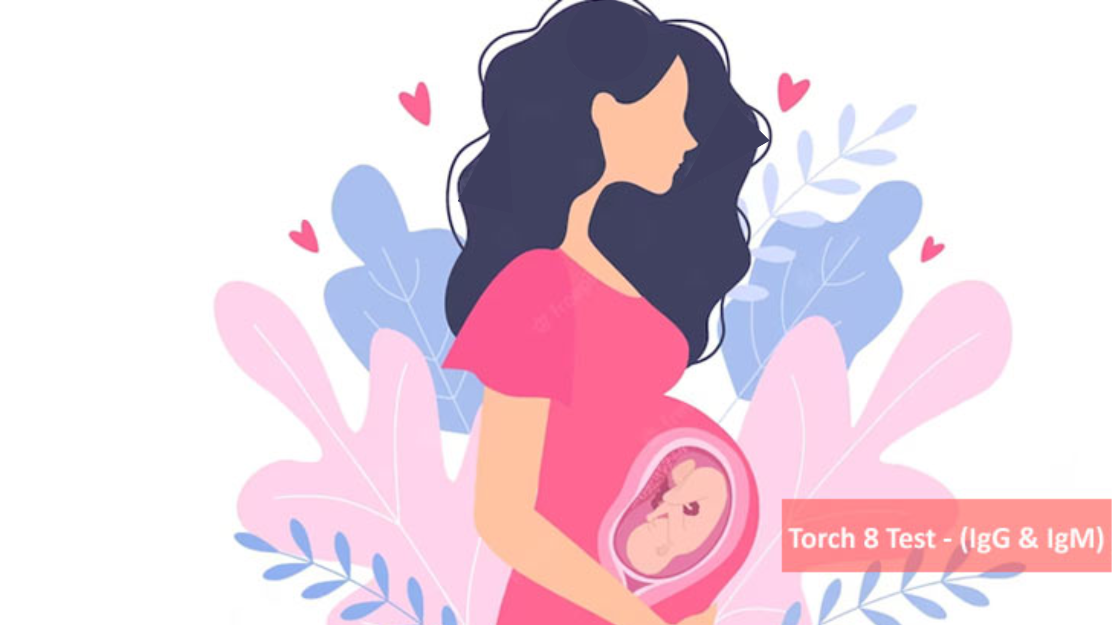 Torch 8 Profile | Qpath